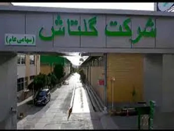 بررسی صورت مالی حسابرسی شده ۱۲ ماهه شگل