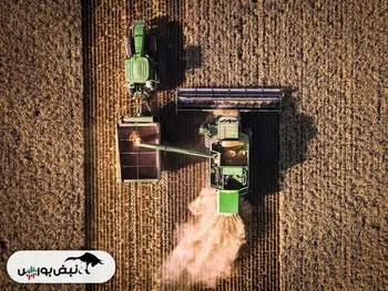 کاهش چشمگیر محصولات زراعی در پی خیز مجدد  ال نینو 