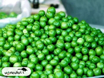 قیمت نجومی گوجه سبز