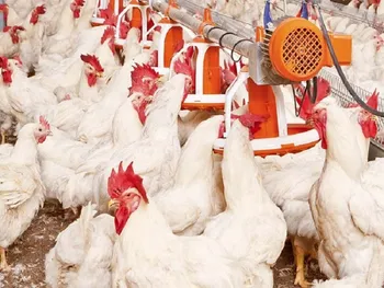 جهش ۲۶۰ درصدی سودخالص غدام