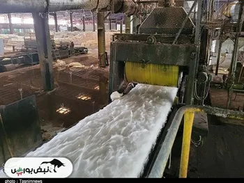 کدال کپشیر | در عملکرد ۱ ماهه چگونه بود؟