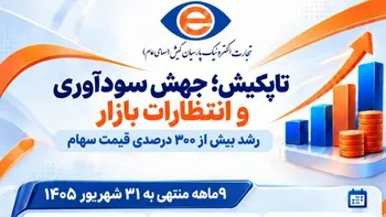 رشد بیش از ۳۰۰ درصدی قیمت سهام تاپکیش