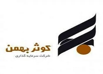 وکبهمن در دوره ۹ ماهه چقدر سود داشت؟