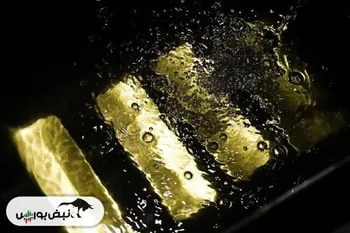 طلای جهانی تسلیم شد