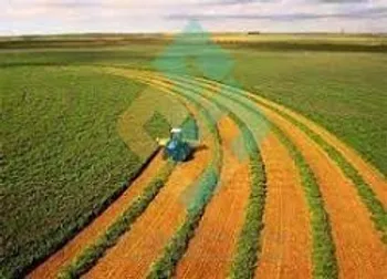 زکشت در وضعیت سفارش گیری قرار گرفت