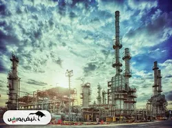 افت سودآوری در شتران | آقای محسنی نیکوگفتار شما برای شتران چه خواهید کرد؟