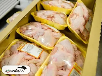 قیمت مرغ یکشنبه ۵ بهمن ۱۴۰۴