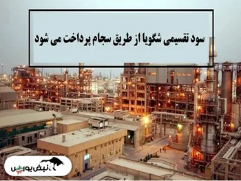 سهامداران شگویا بخوانند | میزان سود و زمان پرداخت سود سهامداران