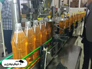 پیش بینی نبض بورس درباره نماد غناب | نمادی که سبزپوش ماند!