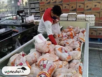 قیمت مرغ اعلام شد