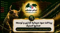 سود پتوسعه ۱۴۰۵ کی واریز می‌شود و چقدر است؟