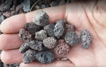 کدما از برگزاری مزایده خبر داد