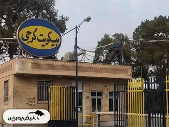 کدال غگرجی | عملکرد ۱ ماهه زیر ذره بین