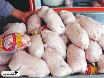 قیمت گوشت مرغ امروز ۲۳ دی ۱۴۰۴