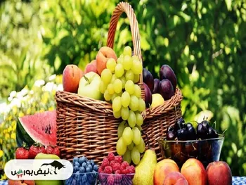 قیمت میوه در میادین تره بار امروز ۲۸ دی ۱۴۰۴