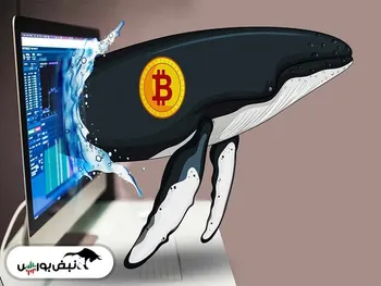 بزرگ‌ترین نهنگ بیت کوین کیست؟ | اتریوم ۵۰۰۰ دلاری می‌شود |قیمت ده ارز دیجیتال برتر ۸ آبان