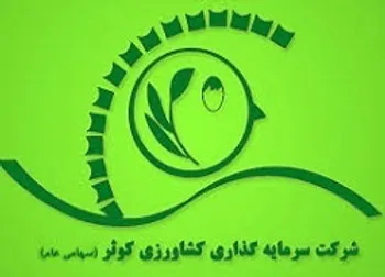 وقفه معاملاتي نماد (زكوثر1)