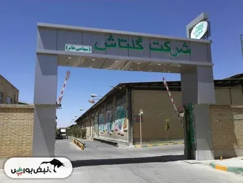 شگل به ازای هر سهم چقدر سود داد؟