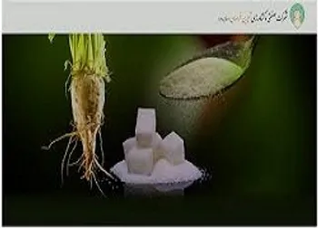 قشرین کی بازگشایی می شود؟