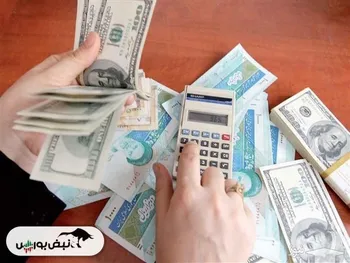 بلاگر‌ها دور از تور سازمان امور مالیاتی