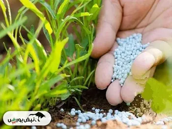 تحلیل جامع صنعت اوره | سود نماد‌های اوره‌ای در پایان سال ۱۴۰۲ چقدر خواهد بود؟