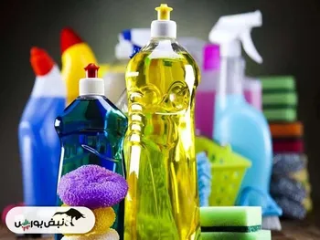 پاکشو و قرن رکورد فروش را شکستند | نمادهای گروه شوینده چقدر فروختند؟