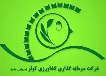 چرا سود عملیاتی زکوثر کاهش یافت؟ | آیا شرکت برنامه‌ای برای افزایش سرمایه دارد؟