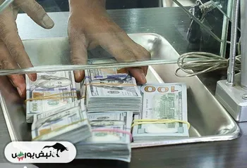 قیمت دلار امروز یکشنبه ۱۲ اسفند ۱۴۰۳ | افزایش نرخ حواله دلار در روزی که همتی برکنار شد!