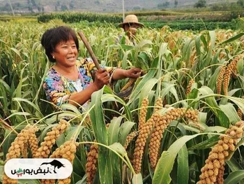 چین صاحب زمین‌های آمریکا می‌شود؟