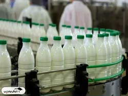 زیان سازی در غپاک عادی شده است | آقای قدوسی در غپاک چه می‌گذرد؟