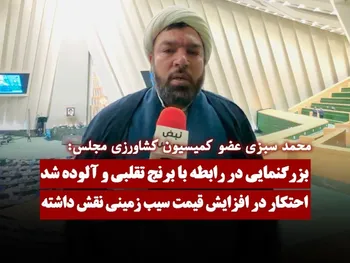 در رابطه با برنج تقلبی و آلوده بزرگنمایی شد / احتکار در افزایش قیمت سیب زمینی نقش داشته