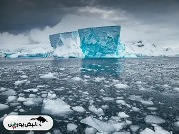 روسیه ذخایر عظیم نفت و گاز در آنتارکتیکا کشف کرد