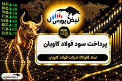 سود فوکا ۱۴۰۵ کی واریز می‌شود و چقدر است؟