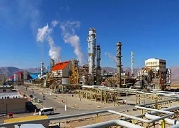 شبصیر افزایش درآمد را گزارش کرد