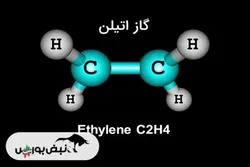 کدام نمادهای بورسی اتیلن تولید می کنند؟