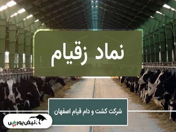 کمنگنز سطح مقاومت خود را شکست! | زقیام بیش از ۸۰ درصد رشد کرد!