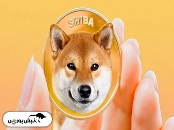 سقوط آزاد قیمت شیبا | نهنگ ها خالی کردند! | آینده ارز شیبا چگونه است؟