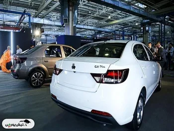 قیمت عجیب شاهین در بازار آزاد