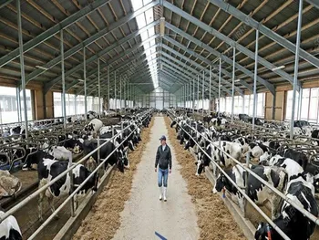 توقف در این نماد به علت افشای اطلاعات