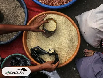 قیمت برنج بحرانی تر از همیشه!