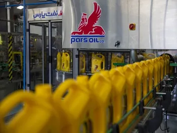 فروش شنفت در ۴ ماهه نخست سال چگونه بود؟