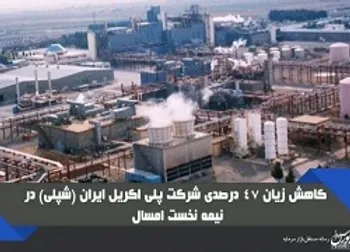 کاهش ۴۷ درصدی زیان «شپلی»