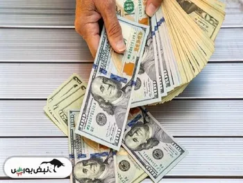 آیا دولت می‌تواند پیامد‌های حذف ناگهانی ارز ترجیحی را برطرف کند؟