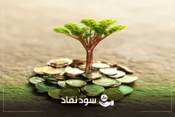 زمان پرداخت سود سهامی که هفته گذشته مجمع داشتند | زمان واریز سود ۶۵۰ ریالی نماد پتروشیمی