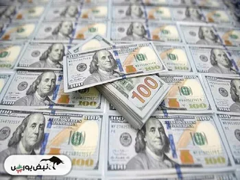 ۲۰ میلیارد دلار ارز خانگی داریم