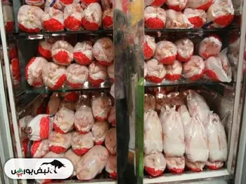 قیمت منطقی هرکیلو مرغ زنده ۱۵۰ هزارتومان است