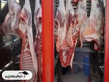 قیمت گوشت امروز دوشنبه ۲۰ بهمن ۱۴۰۴