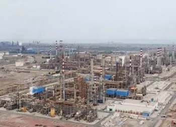 «شبندر»ی ها کمتر ضرر کردند