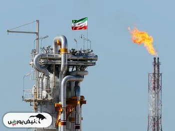 زاگرس رکورد فروش را شکست! | شفن عملکرد خوبی را نسبت به پاییز گذشته داشت | فروش خراسان ناامیدکننده