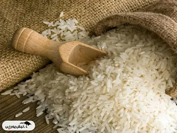 واردات برنج بدون ارز ترجیحی قیمت را واقعی می‌کند